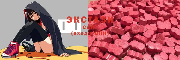 молекула духа Медвежьегорск