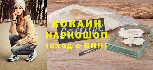 молекула духа Медвежьегорск