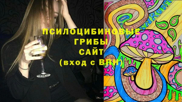 гидра Магас