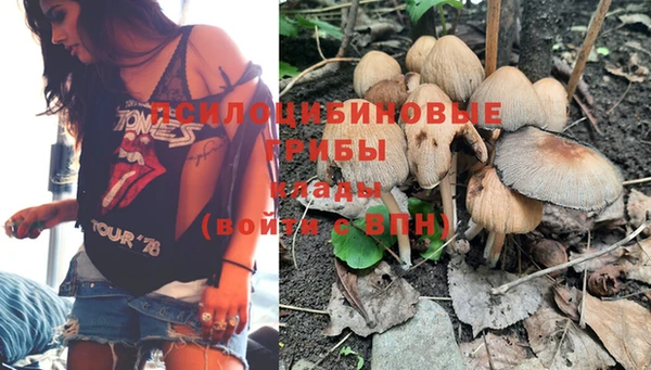 молекула духа Медвежьегорск