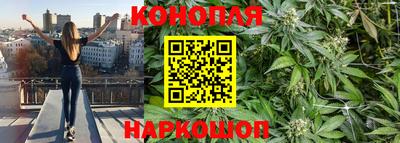 гидропоника Канаш