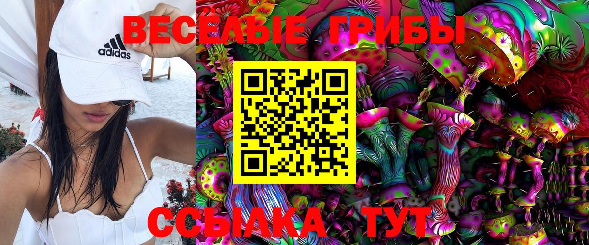 Мирный  Галлюциногенные грибы Psilocybine cubensis  Вход с VPN 
