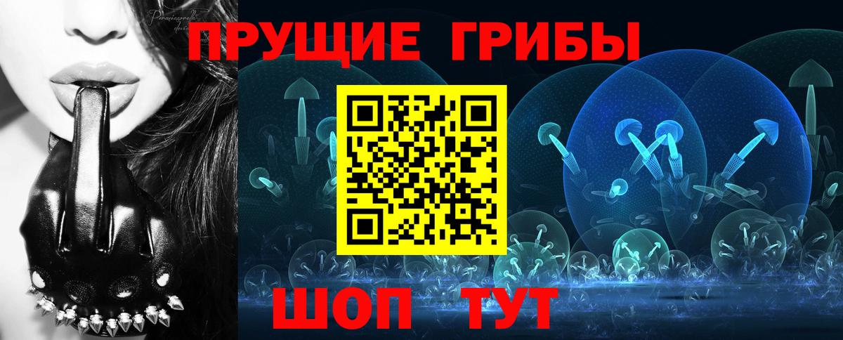 Псилоцибиновые грибы Cubensis Мирный